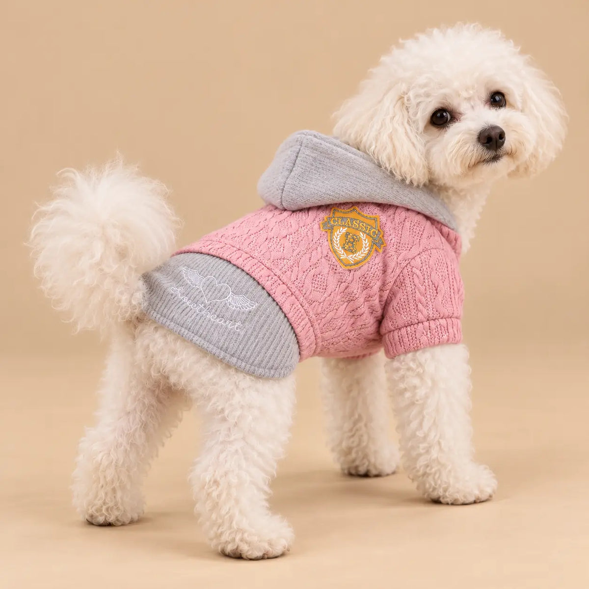 Hooded Cable Knit Winter Dog Sweater