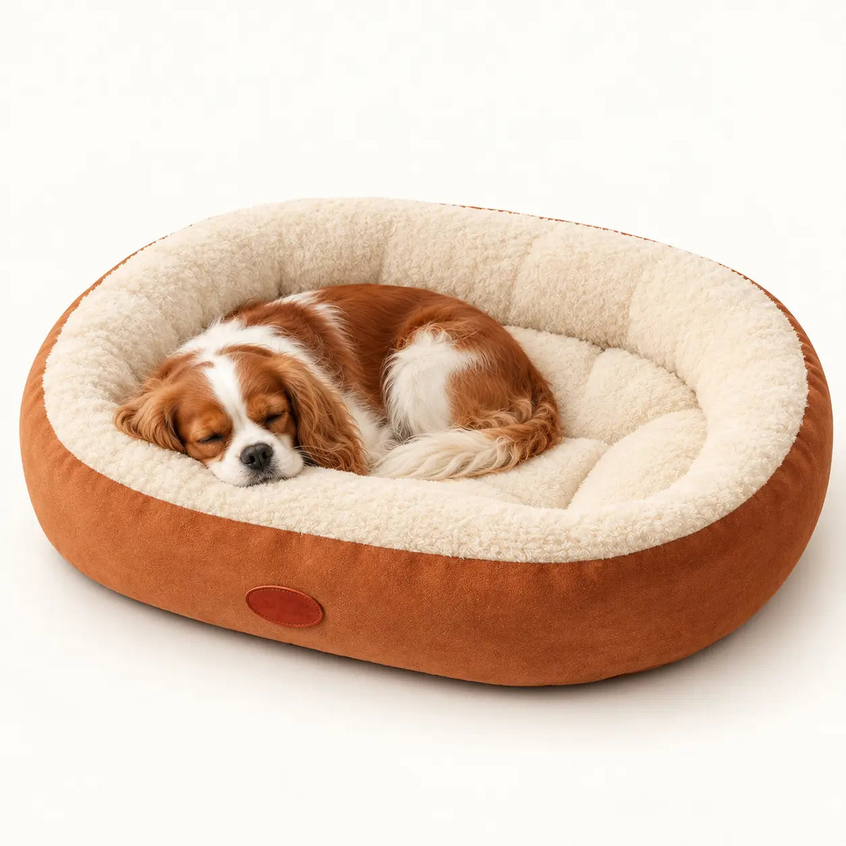 Brown-and-white dog sleeping in a Caramel Brown plush bolster pet bed