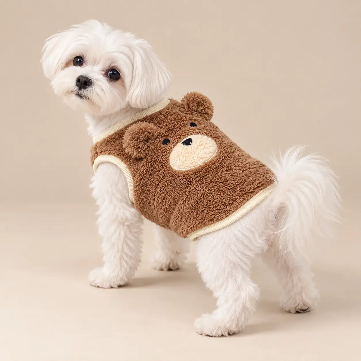 Small white dog wearing a Brown teddy fleece winter vest with bear face detail and cream trim