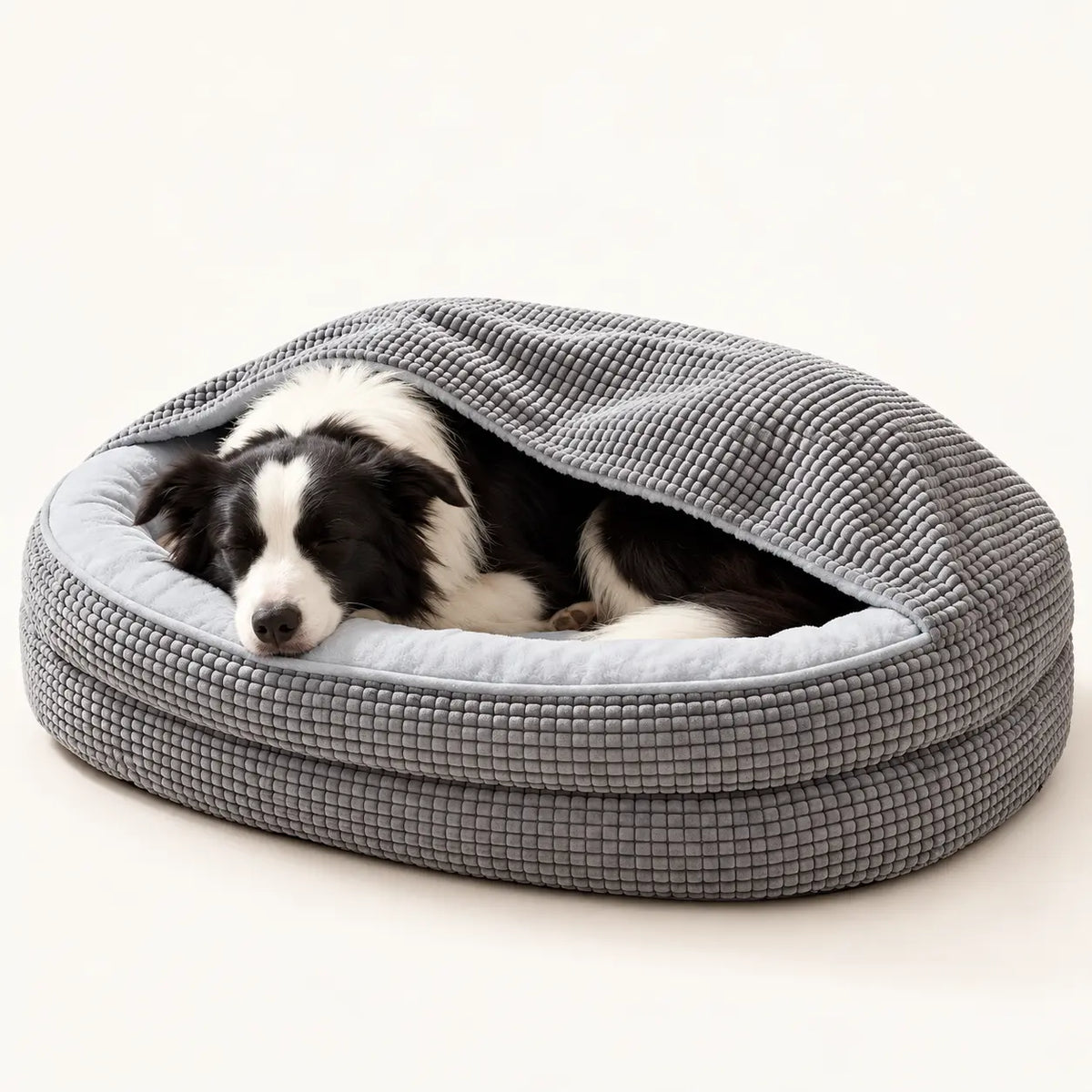 Border Collie resting beneath the hood of a Light Gray waffle dog cave bed