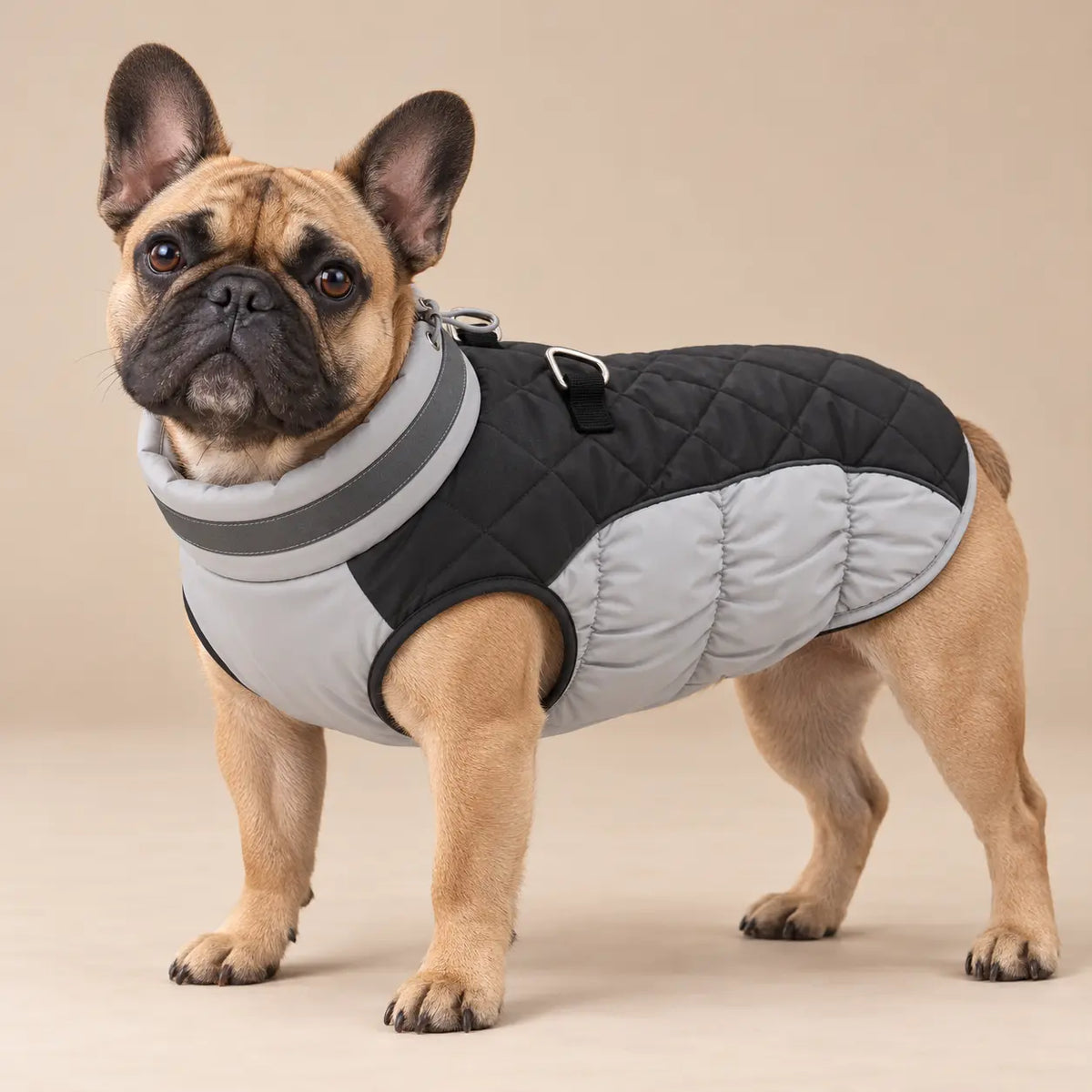 Quilted Dog Coat with Adjustable Collar