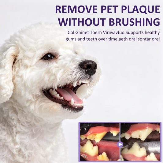 Petry Pet Oral Care Spray for Dogs & Cats