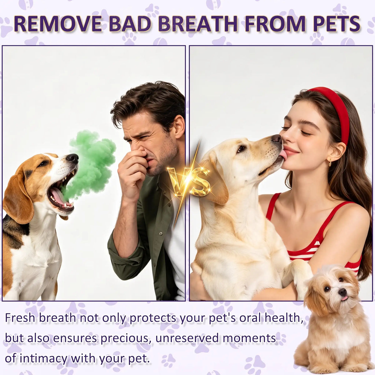 Petry Pet Oral Care Spray for Dogs & Cats
