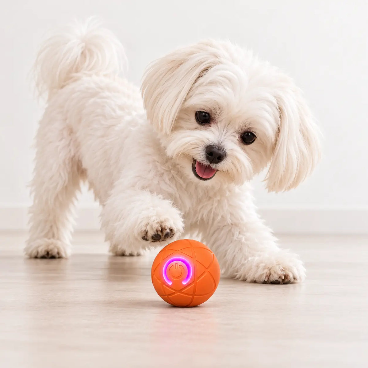 Rechargeable Interactive Rolling Pet Toy Ball