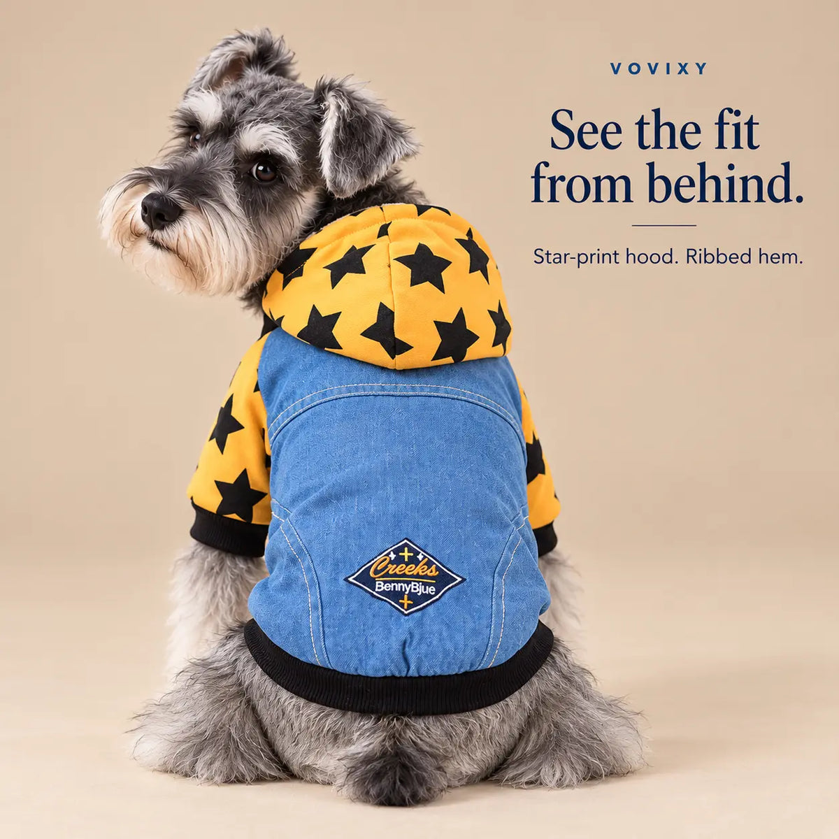 Rear view of a Schnauzer wearing the Yellow star-print denim dog hoodie with black ribbed hem