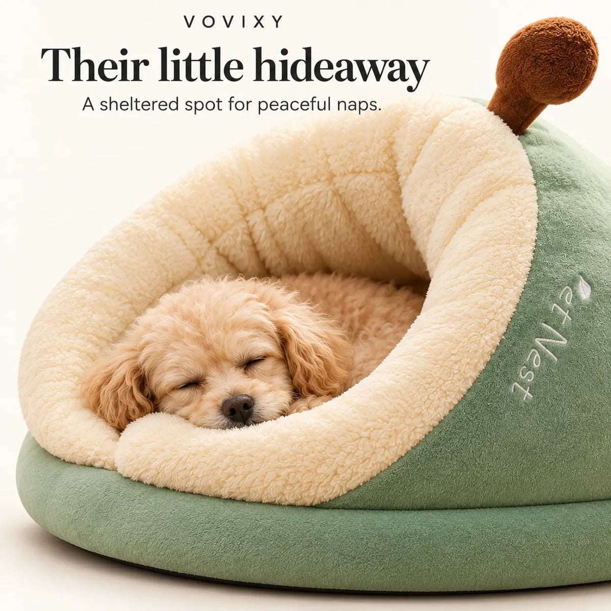 Close-up of an apricot Poodle sleeping inside the Sage Green covered slipper pet bed