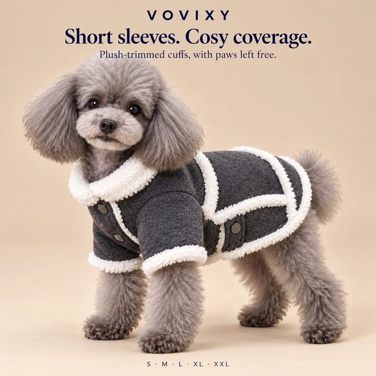 Toy Poodle wearing a Dark Grey velvet dog coat with cream plush collar and short sleeves