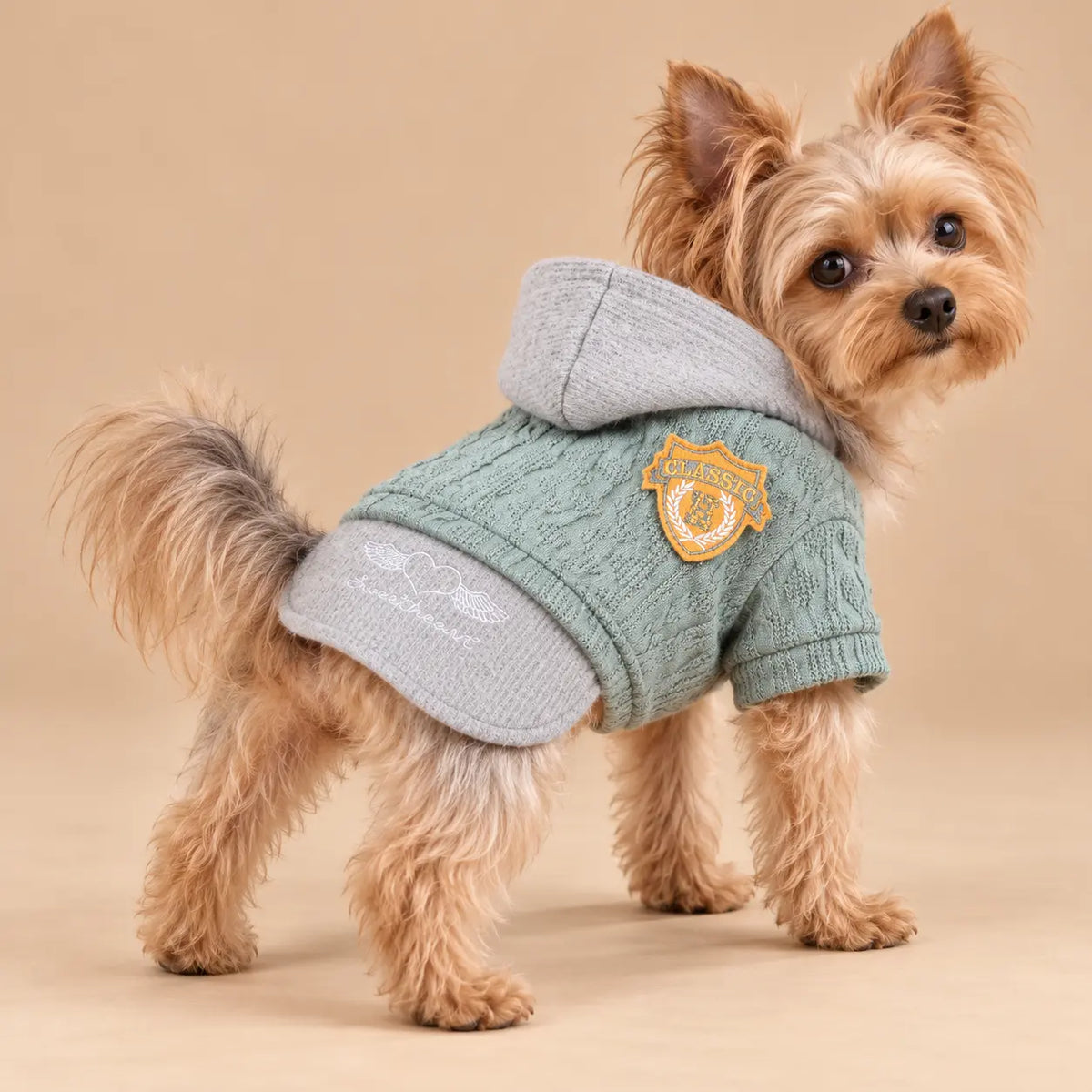 Hooded Cable Knit Winter Dog Sweater