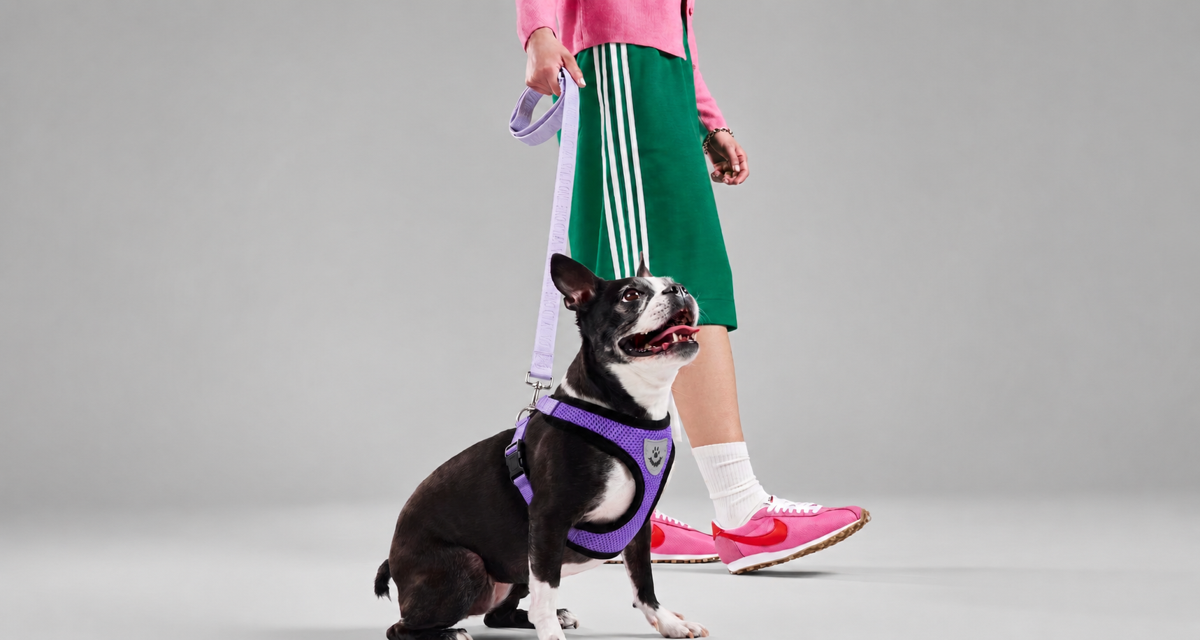 Premium Harnesses & Leashes