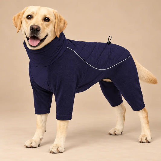 Labrador Retriever wearing a Navy Blue high neck fleece dog coat with four leg sleeves