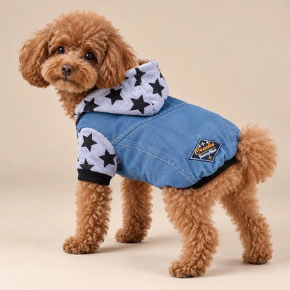 Apricot Poodle wearing the Grey star-print denim dog hoodie with a blue denim body