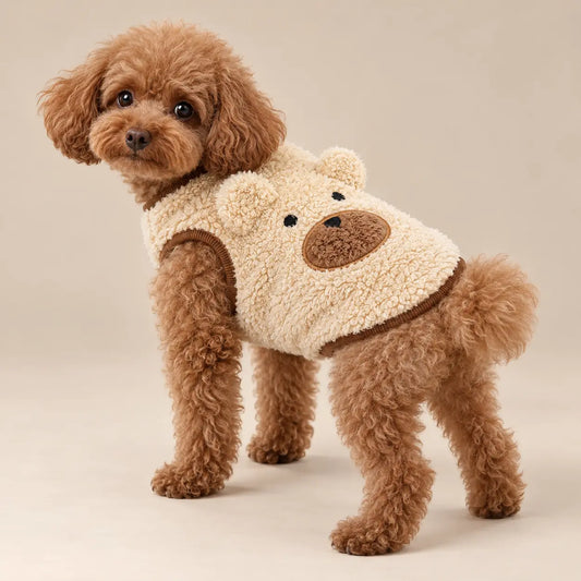 Apricot Poodle wearing an Apricot teddy fleece winter dog vest with bear ears, a stitched face and brown trim