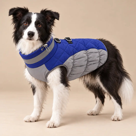 Quilted Dog Coat with Adjustable Collar