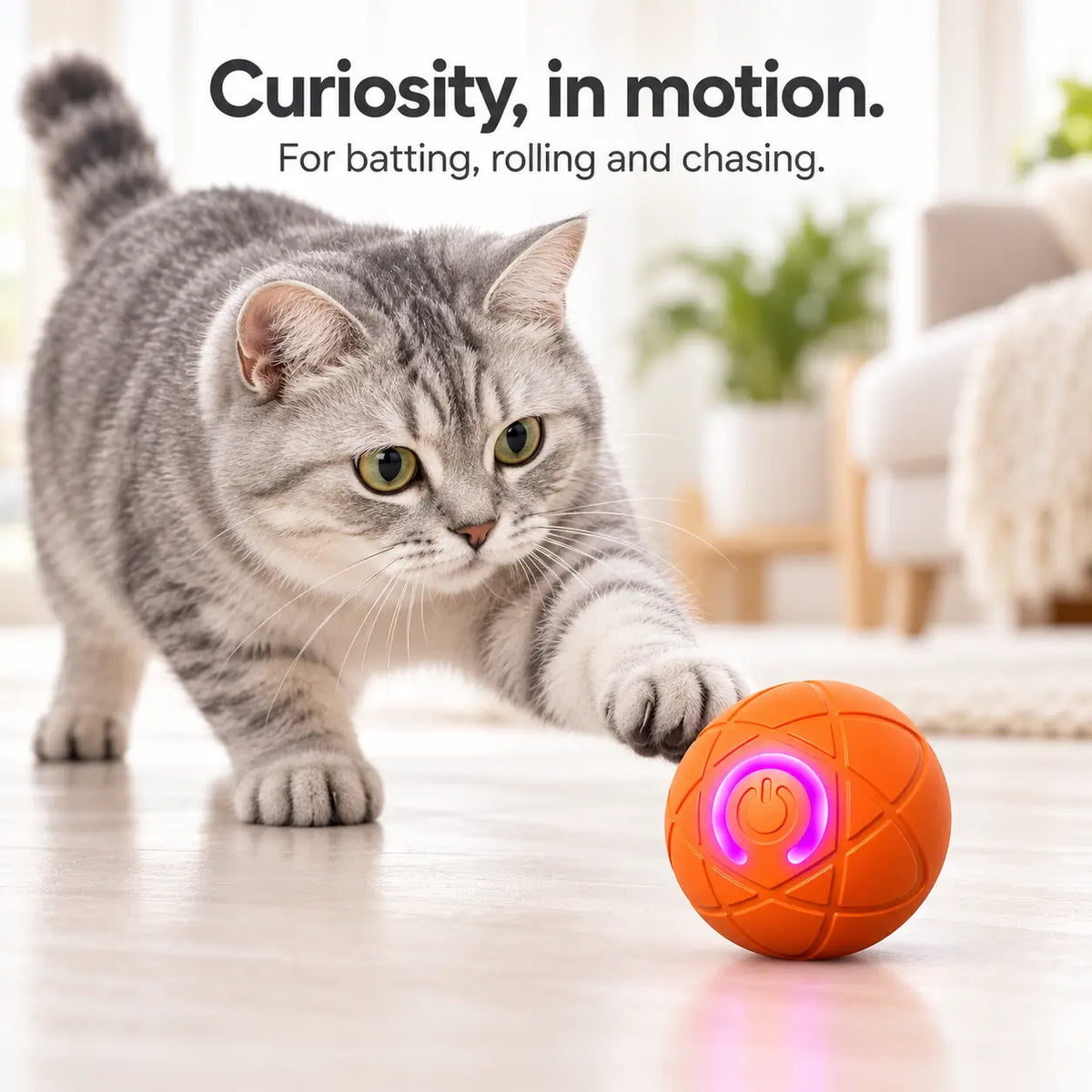 Rechargeable Interactive Rolling Pet Toy Ball