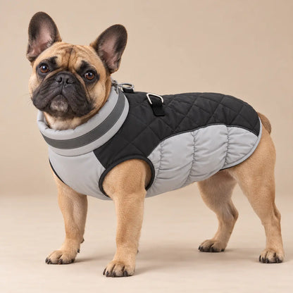 Quilted Dog Coat with Adjustable Collar