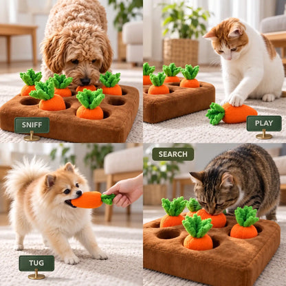 Plush Fruit Chew Toy Set