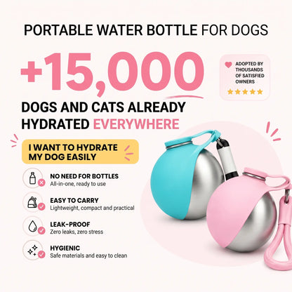Portable Dog & Cat Water Bottle with Foldable Bowl