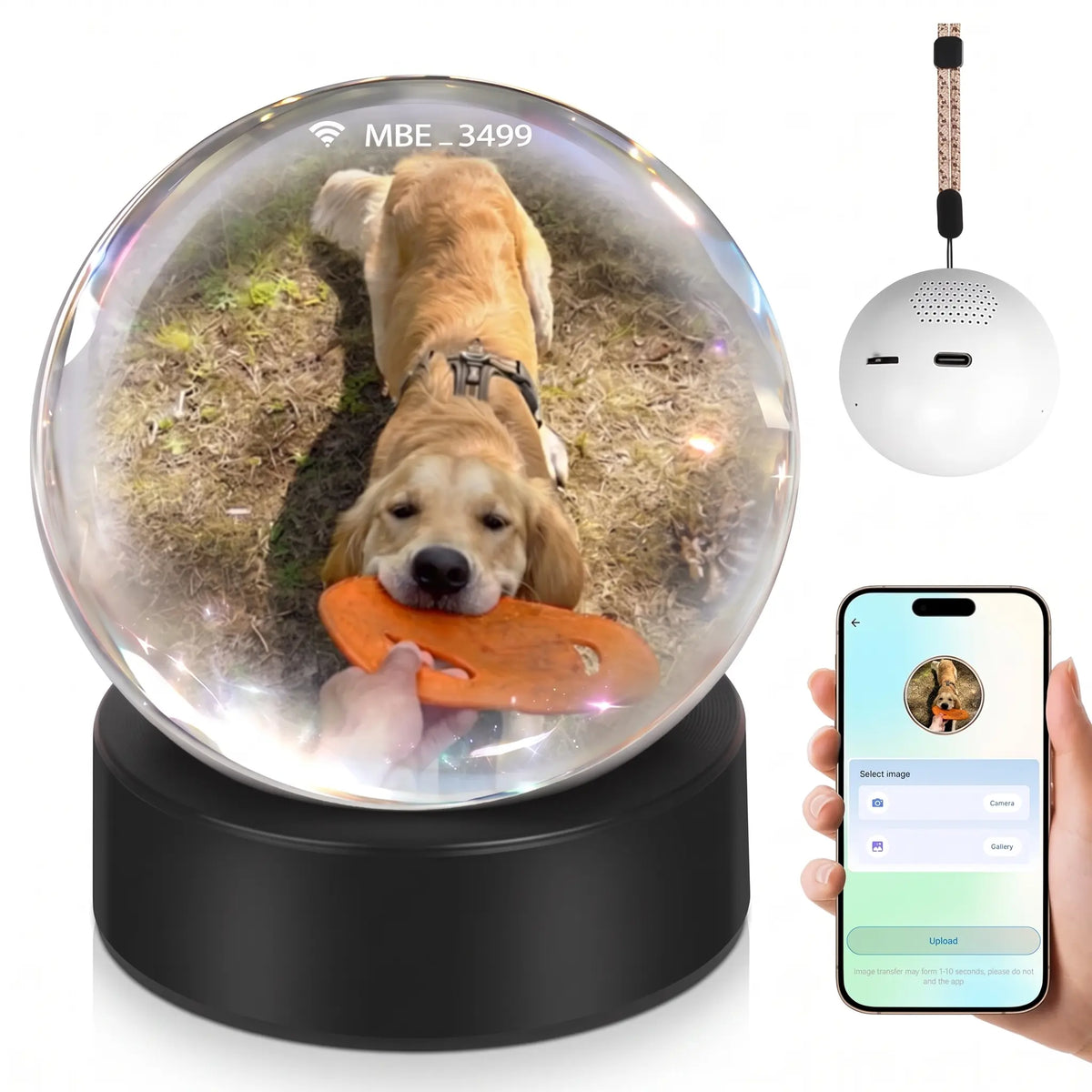 Personalized Pet Memory Crystal Globe