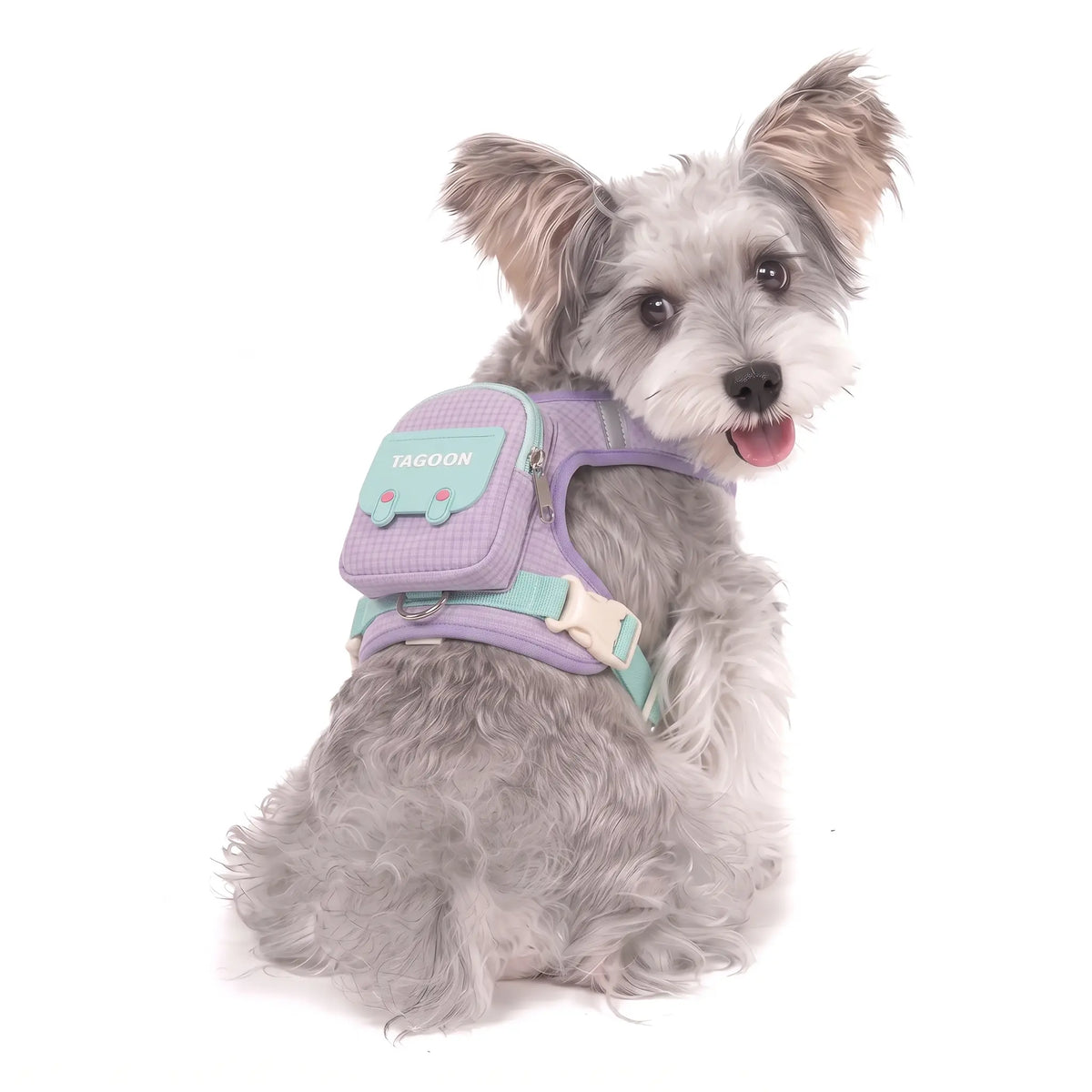 Cute Pet Harness with Backpack