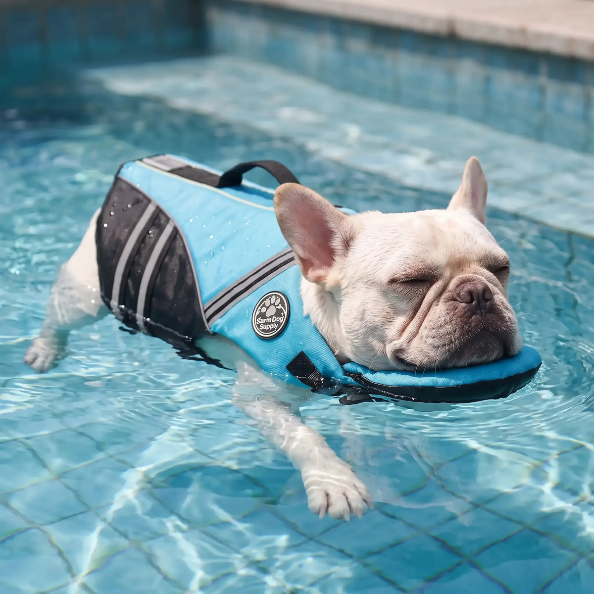 Dog Life Vest & Swimming Safety Jacket
