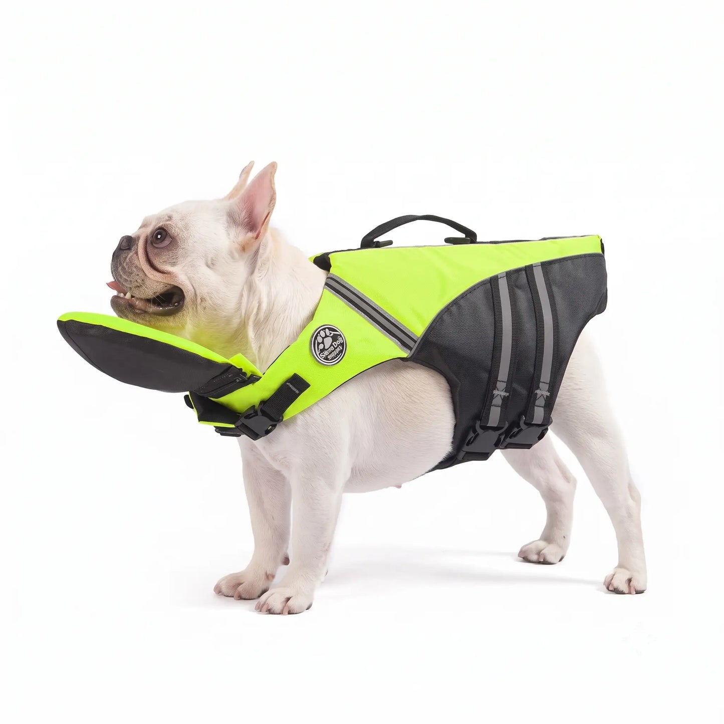 Dog Life Vest & Swimming Safety Jacket
