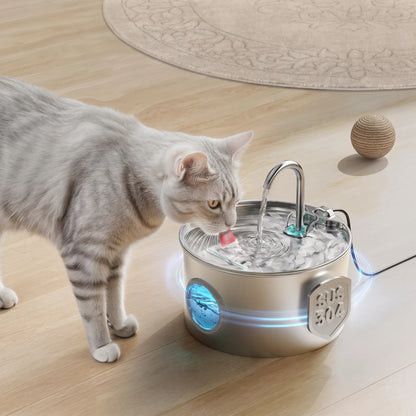 Auto-Filtering Pet Water Fountain