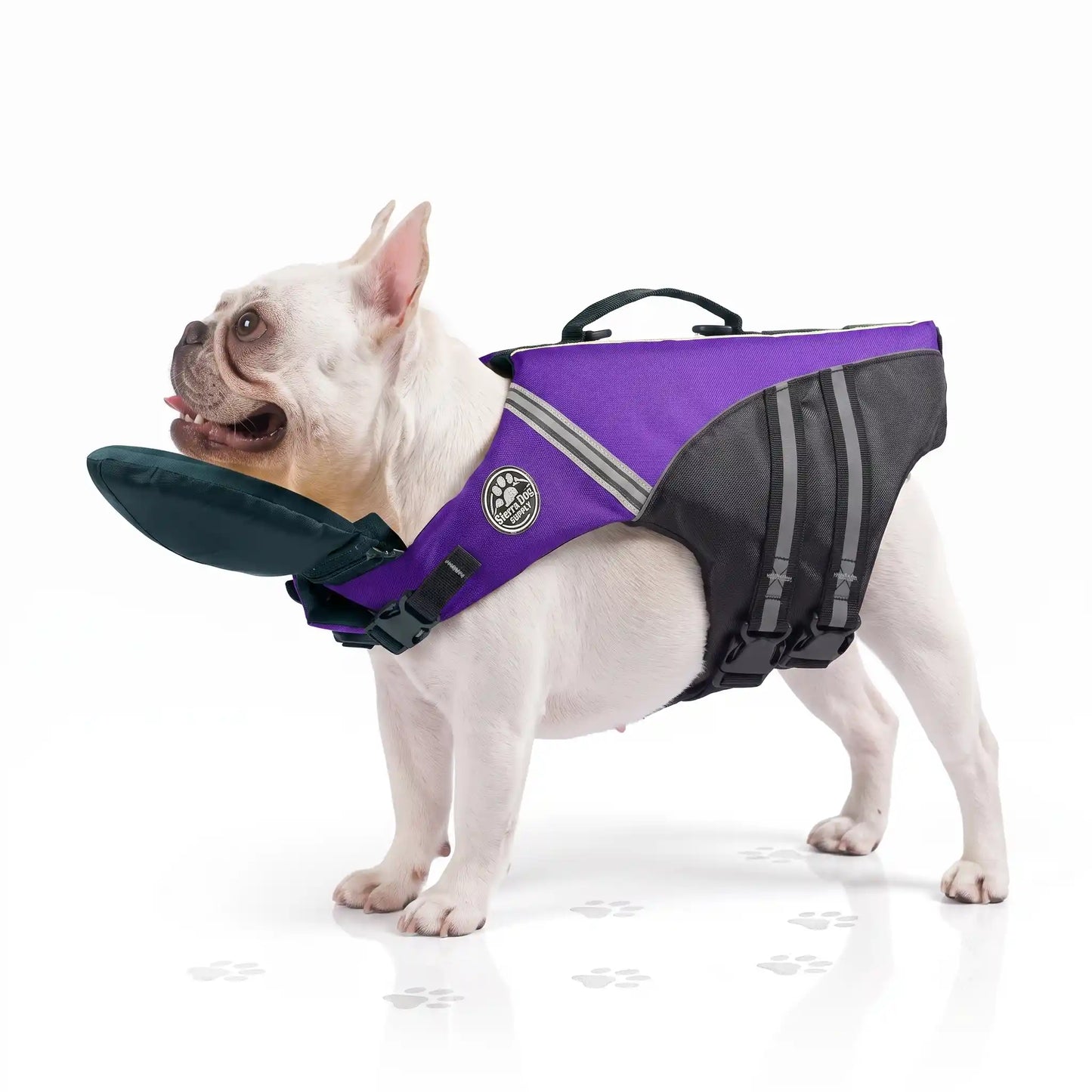 Dog Life Vest & Swimming Safety Jacket