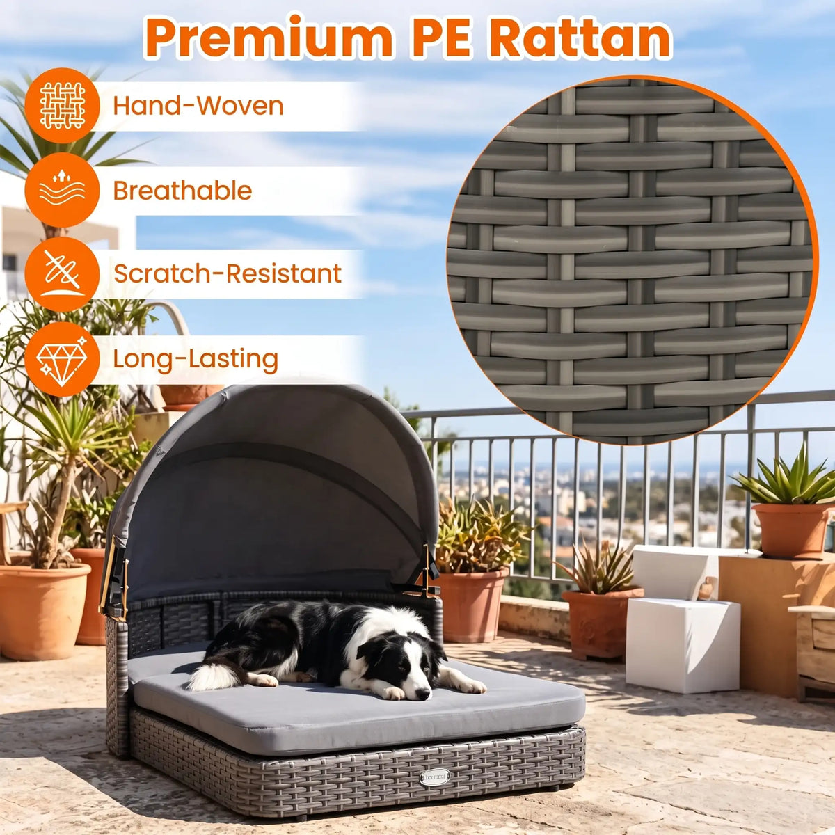 Elevated Rattan Dog Bed with Canopy