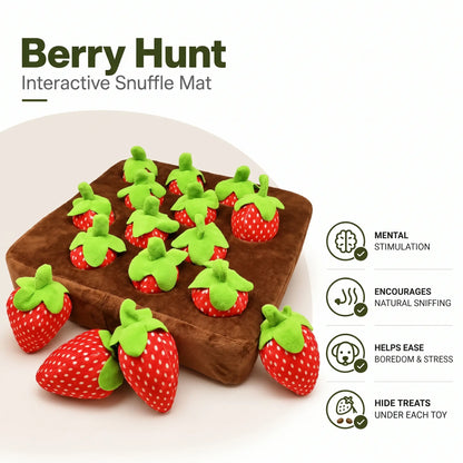 Plush Fruit Chew Toy Set
