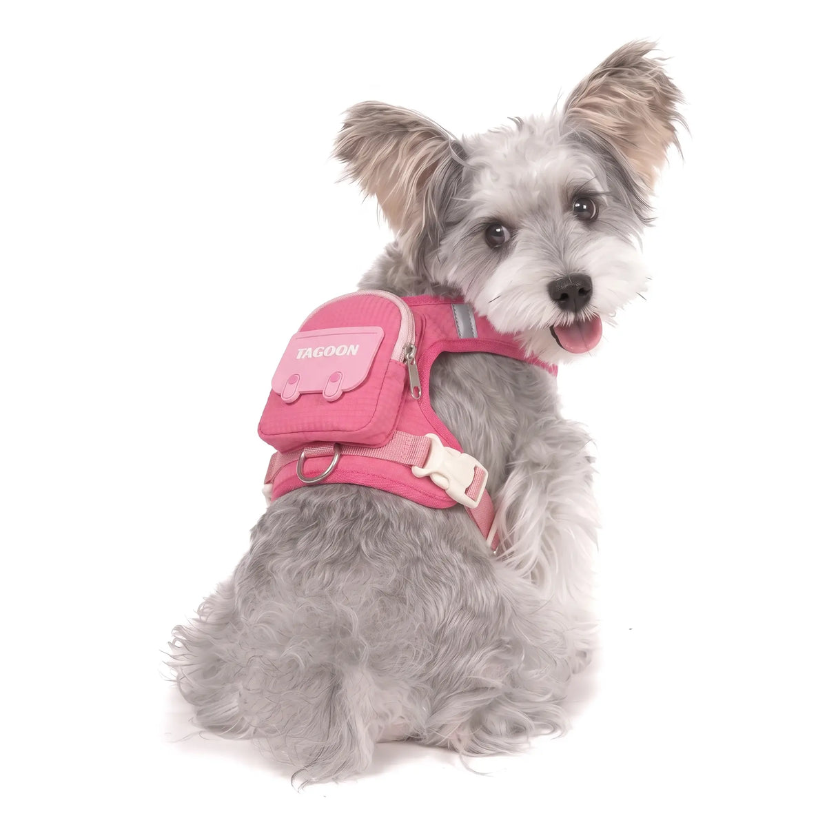 Cute Pet Harness with Backpack