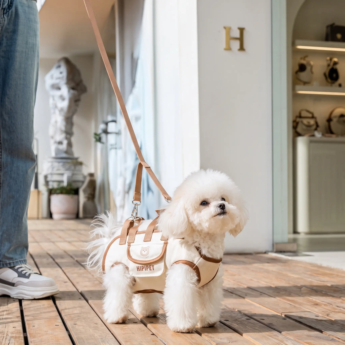 Hands-Free Dog Shoulder Carrier Bag