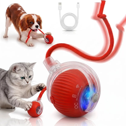 Interactive Smart Rolling Pet Ball