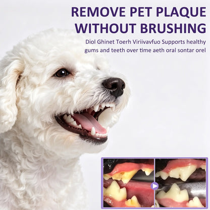 Petry Pet Oral Care Spray for Dogs & Cats