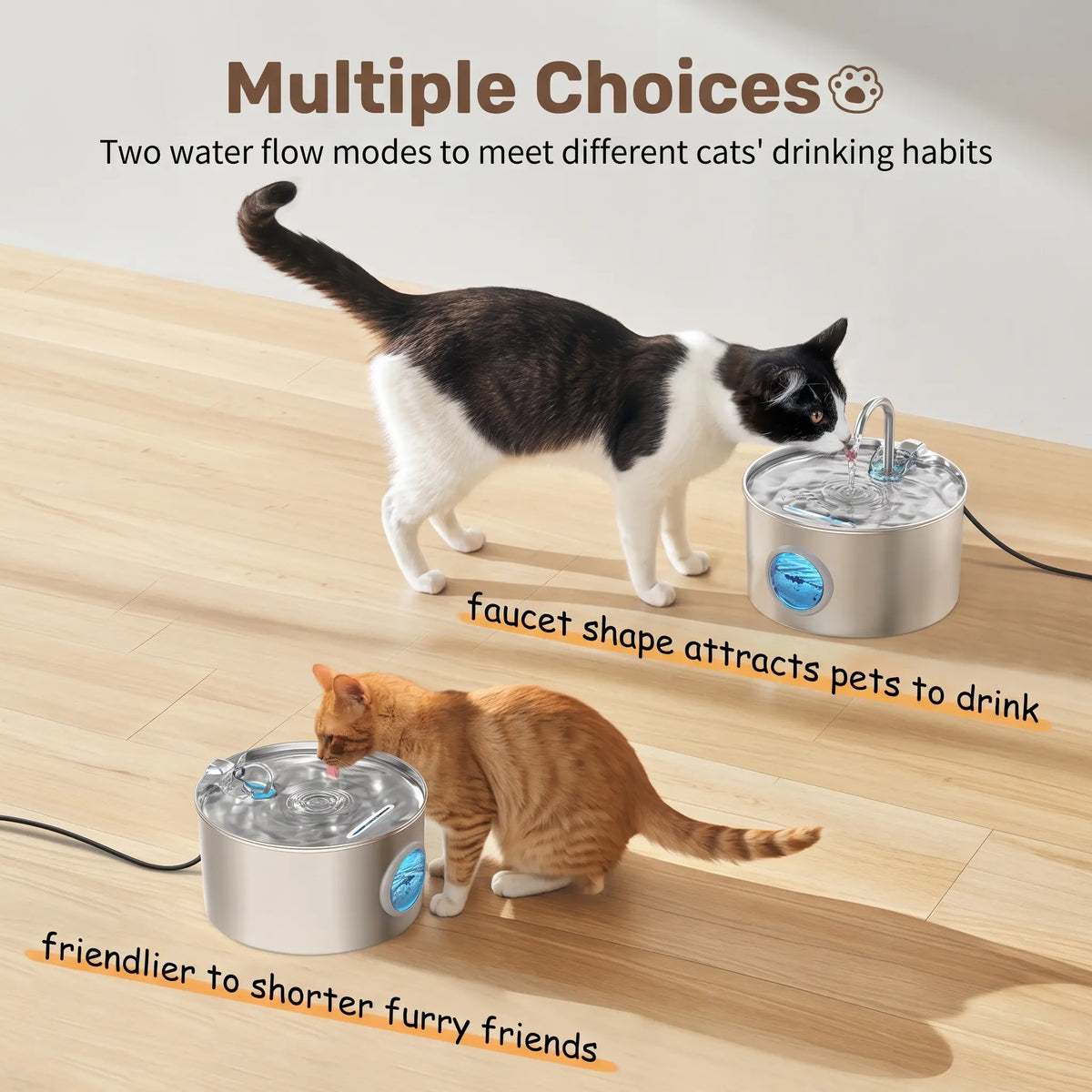 Auto-Filtering Pet Water Fountain