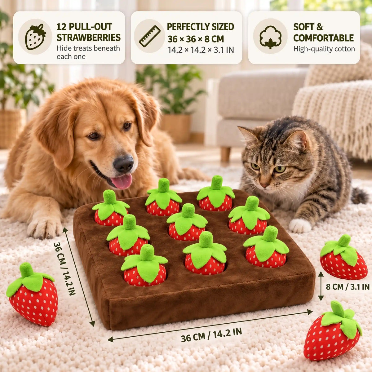 Plush Fruit Chew Toy Set