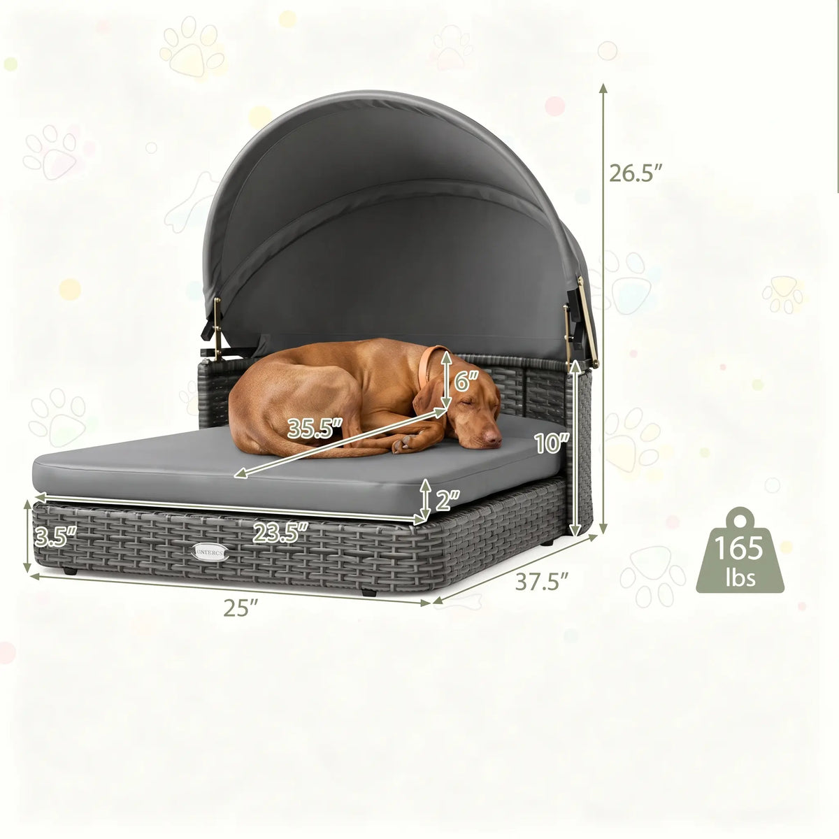 Elevated Rattan Dog Bed with Canopy
