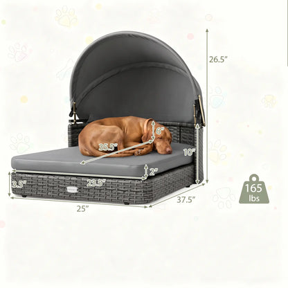 Elevated Rattan Dog Bed with Canopy