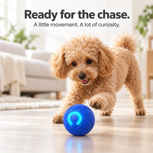 Rechargeable Interactive Rolling Pet Toy Ball