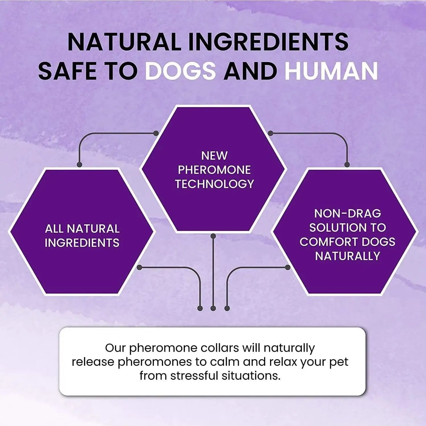 Flea & Tick Collar for Dogs & Cats – 8 Month Protection | Vovixy