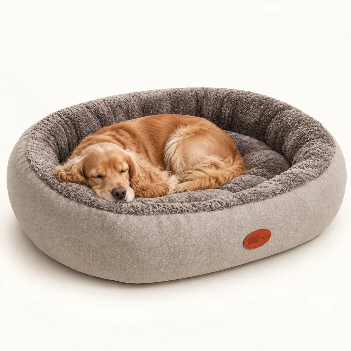 Golden spaniel sleeping in a Light Grey oval bolster pet bed with grey plush lining
