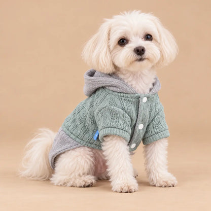 Hooded Cable Knit Winter Dog Sweater