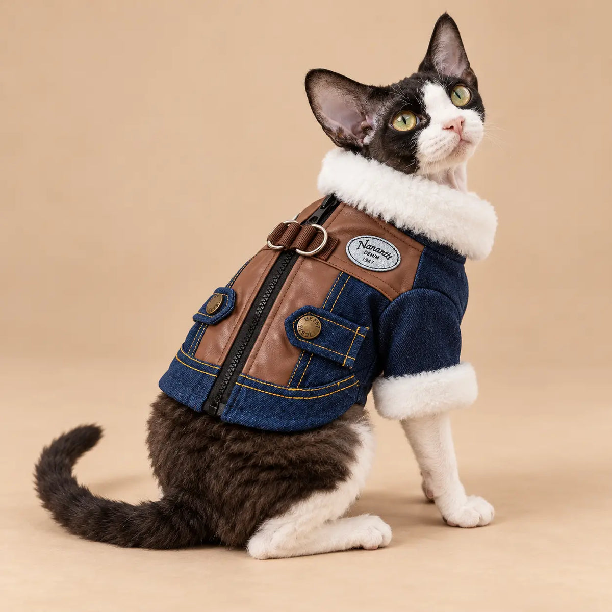 Black-and-white cat wearing the denim pet jacket with a white plush collar and brown back panels