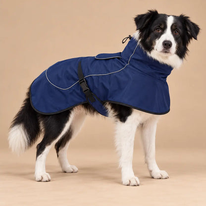 Border Collie wearing the Navy Blue fleece-lined dog windbreaker with a high collar
