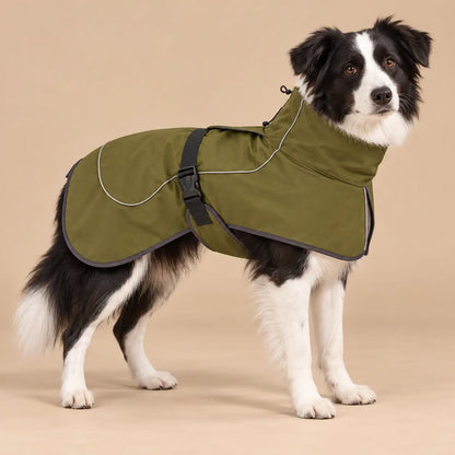 Border Collie wearing an Olive Green fleece-lined dog windbreaker with a high collar and reflective piping