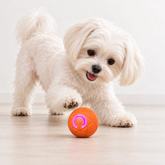 Rechargeable Interactive Rolling Pet Toy Ball