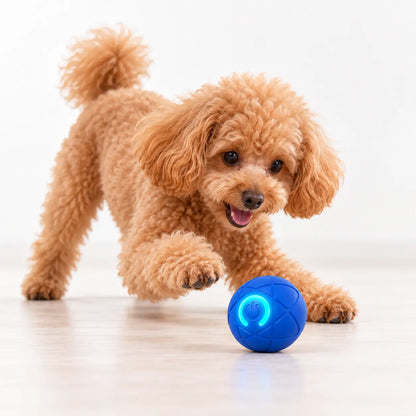 Rechargeable Interactive Rolling Pet Toy Ball