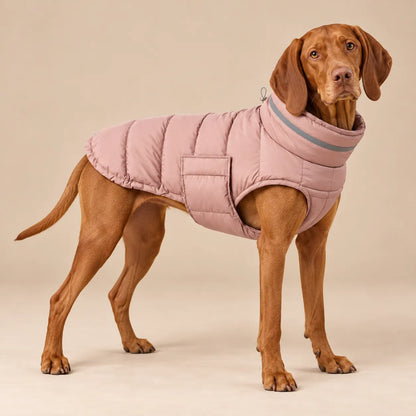 Hungarian Vizsla wearing the muted pink padded winter dog coat with adjustable belly wrap