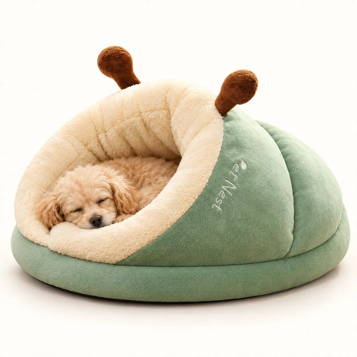Small apricot dog sleeping in a Sage Green slipper pet bed with cream plush lining and brown decorative accents