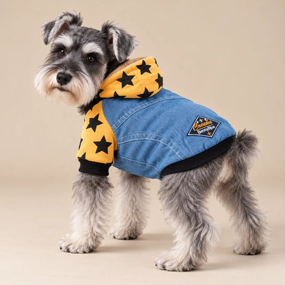 Salt-and-pepper Schnauzer wearing the Yellow star-print denim dog hoodie with a washed-blue back panel