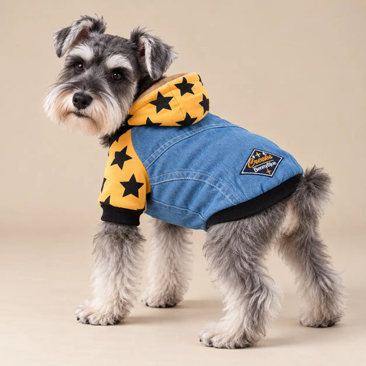 Salt-and-pepper Schnauzer wearing the Yellow star-print denim dog hoodie with a washed-blue back panel